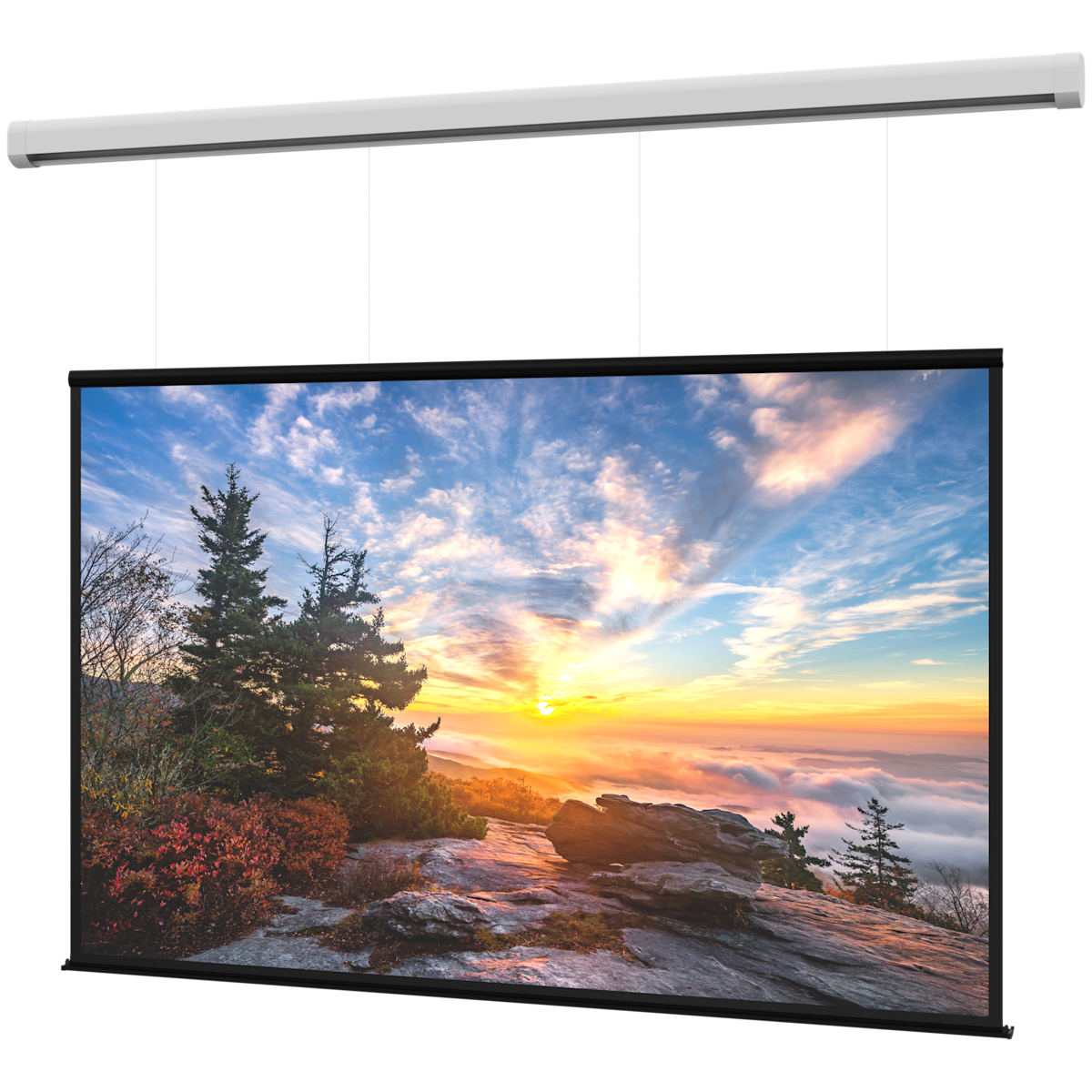 Da-Lite Myriad Reveal Series Electric Projection Screen Wide (16:10), Matte White (non-tensioned) - view 2
