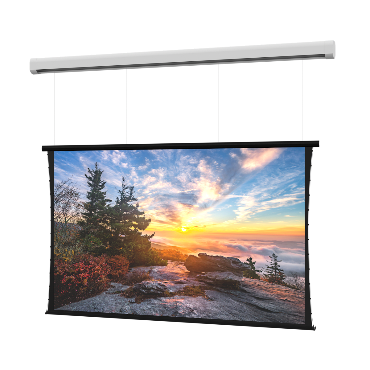 Da-Lite Myriad Reveal Series Electric Projection Screen Wide (16:10), HD Progressive 1.1 Contrast - view 2