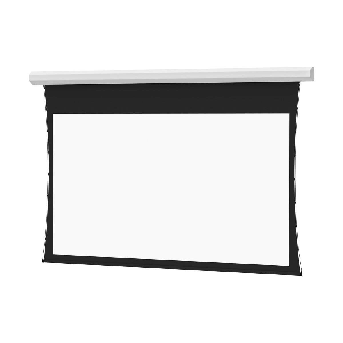 Da-Lite Tensioned Cosmopolitan Series Electric Projection Screen Wide (16:10), Parallax Stratos 1.0 - view 2