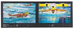 Datavideo TLM-102