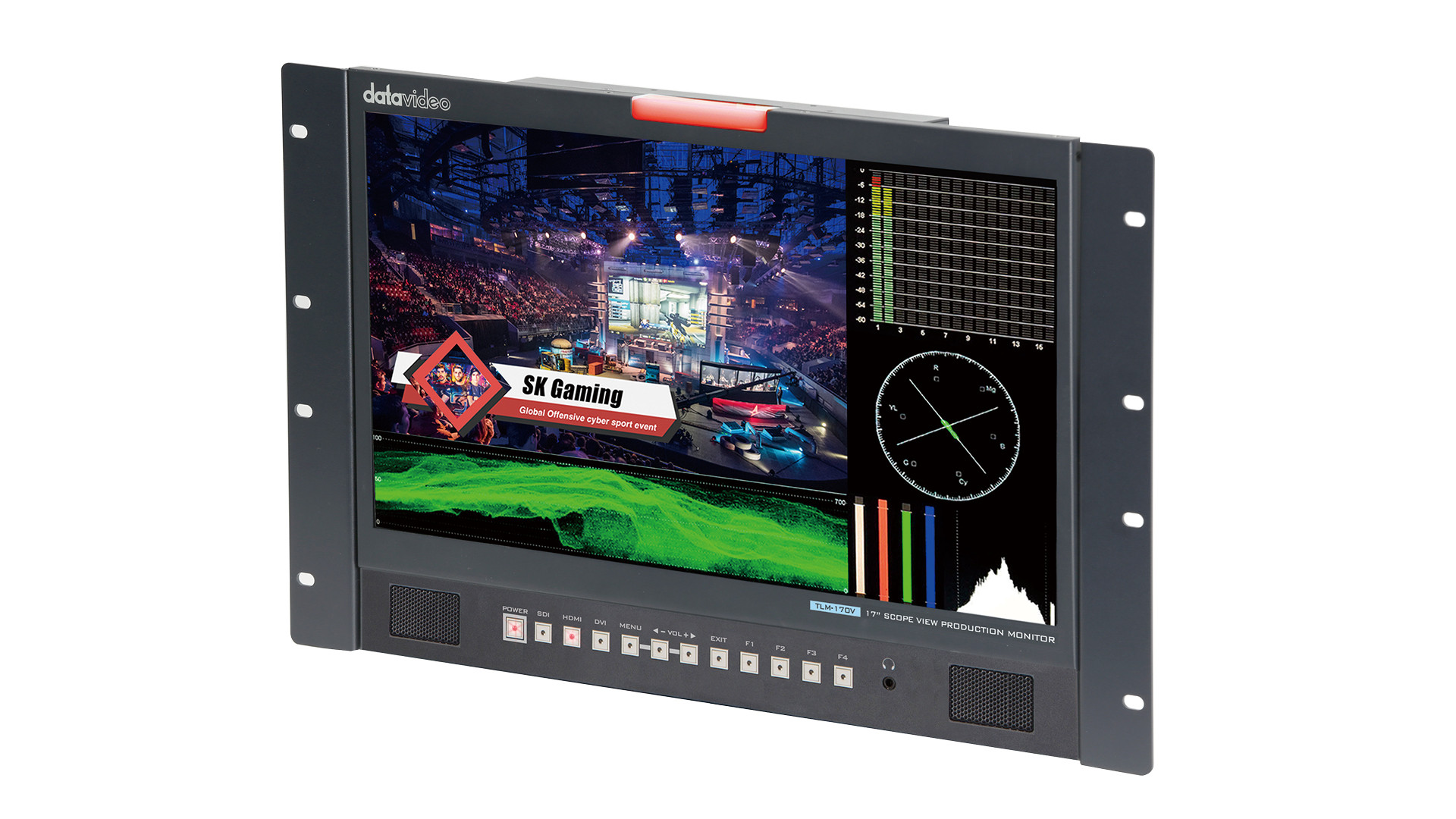 Datavideo TLM-170VR - view 2