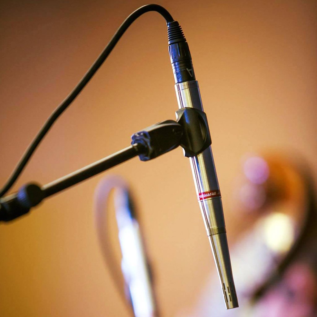 Earthworks SR30 Cardioid Condenser Instrument Microphone product image