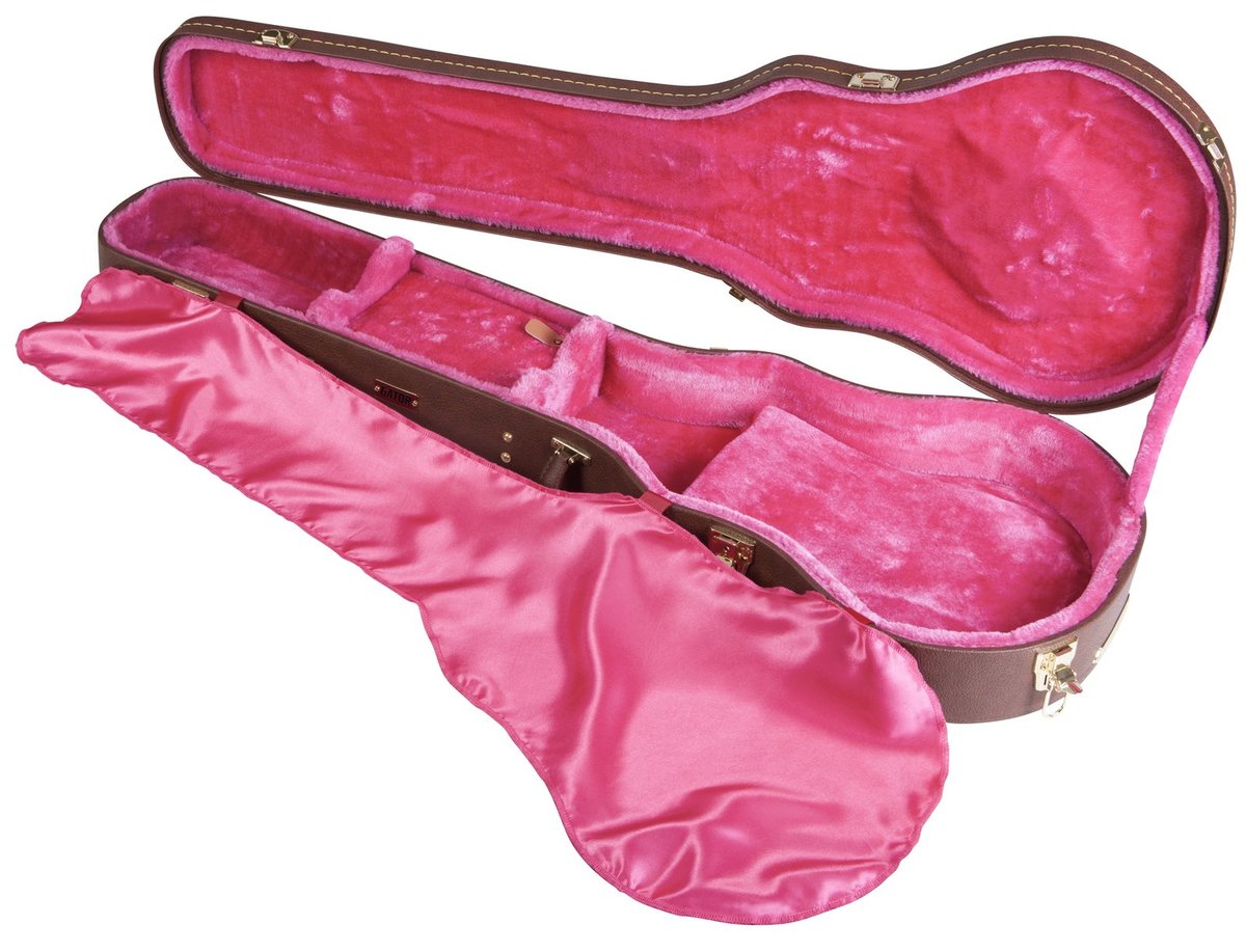 Gator Gibson Les Paul Guitar Deluxe Wood Case - view 3