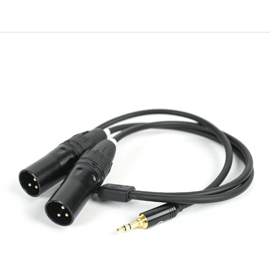 Hollyland 3.5mm TRS to Dual XLR Audio Cable