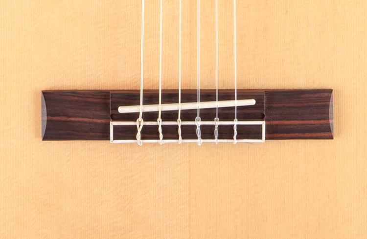 Jasmine JC-23 Acoustic Guitar - view 2