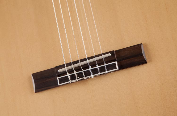 Jasmine JC-25 Acoustic Guitar - view 2