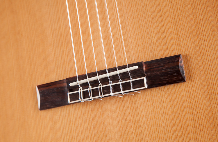 Jasmine JC-27CE Acoustic Guitar - view 2
