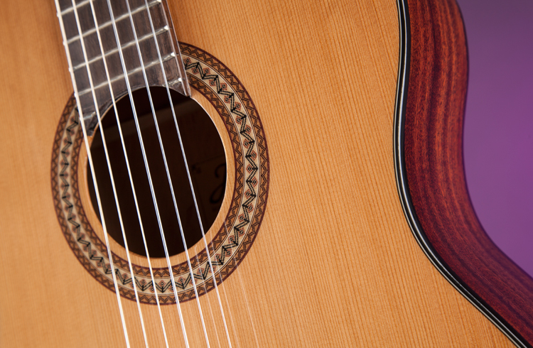 Jasmine JC-27CE Acoustic Guitar - view 4
