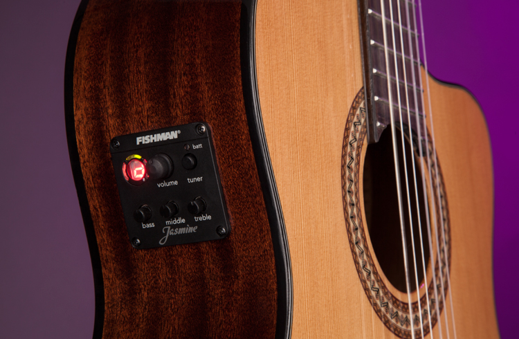 Jasmine JC-27CE Acoustic Guitar - view 5