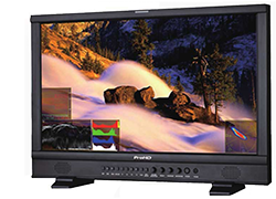 JVC DT-N24F Monitor