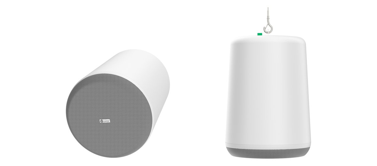 Kramer PN-8P 8”, 2-way, passive pendant speaker