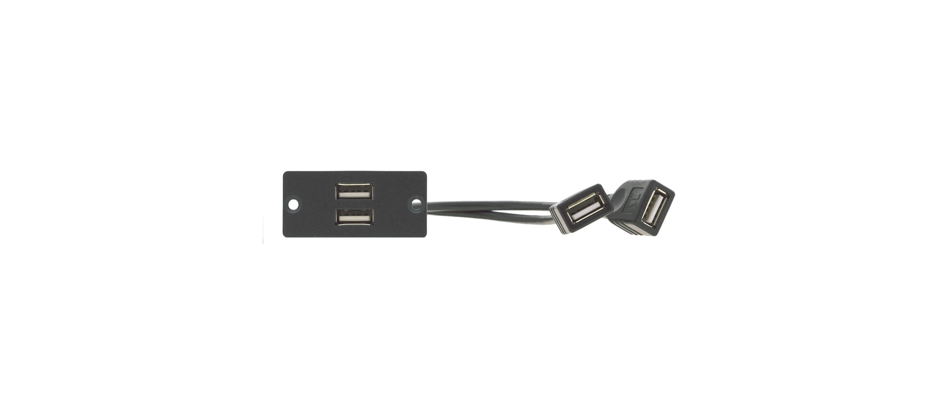 Kramer WU-2AA 2 x USB 2.0 (A/A) Wall Plate Insert product image
