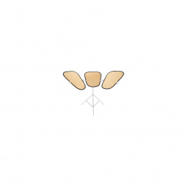 Lastolite Triflector MkII Panels, Gold/White Set of 3