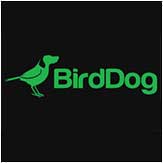 BirdDog: PTZ cameras and controllers