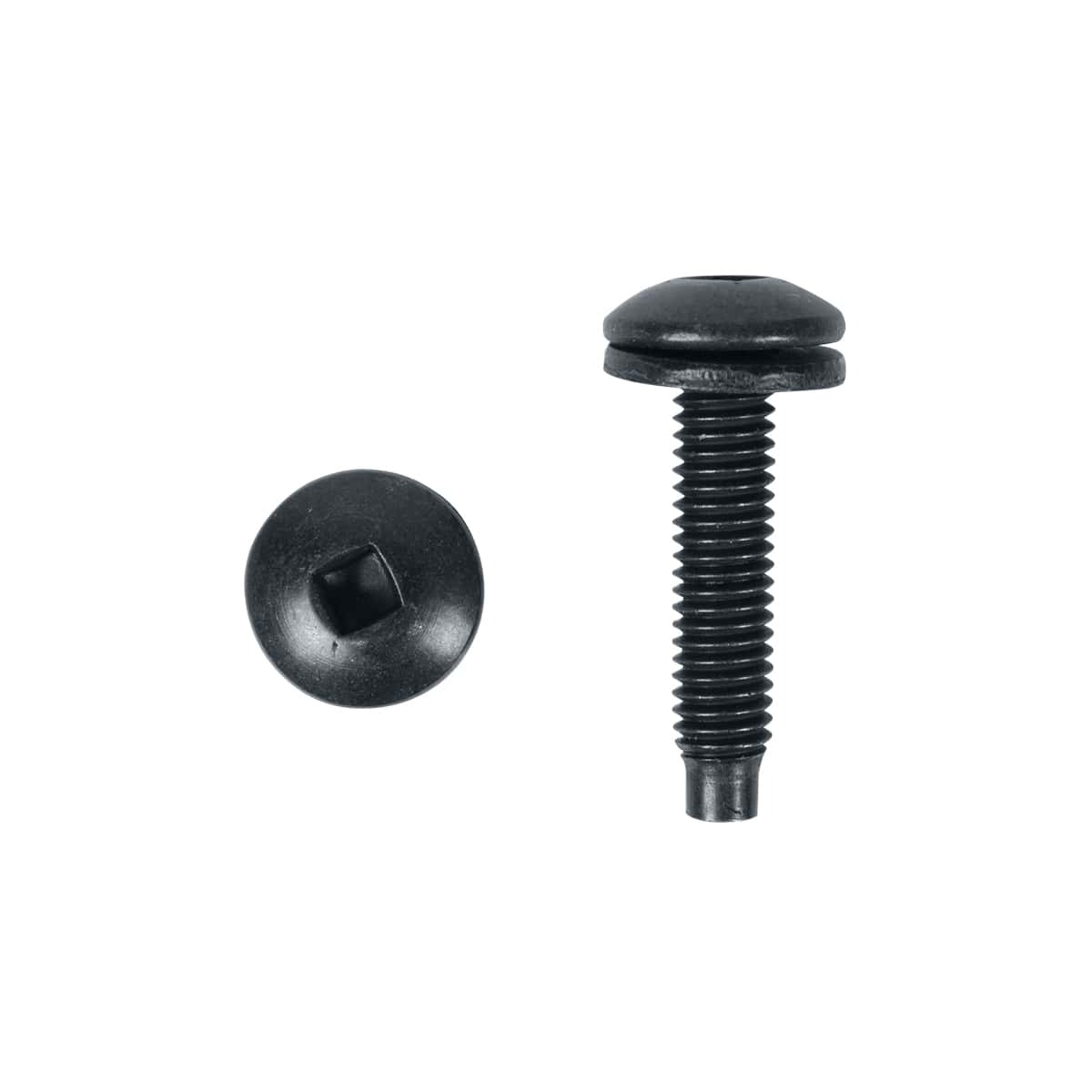 Lowell RSR50 Robertson Square-Head Rack Screws, 50-Pack