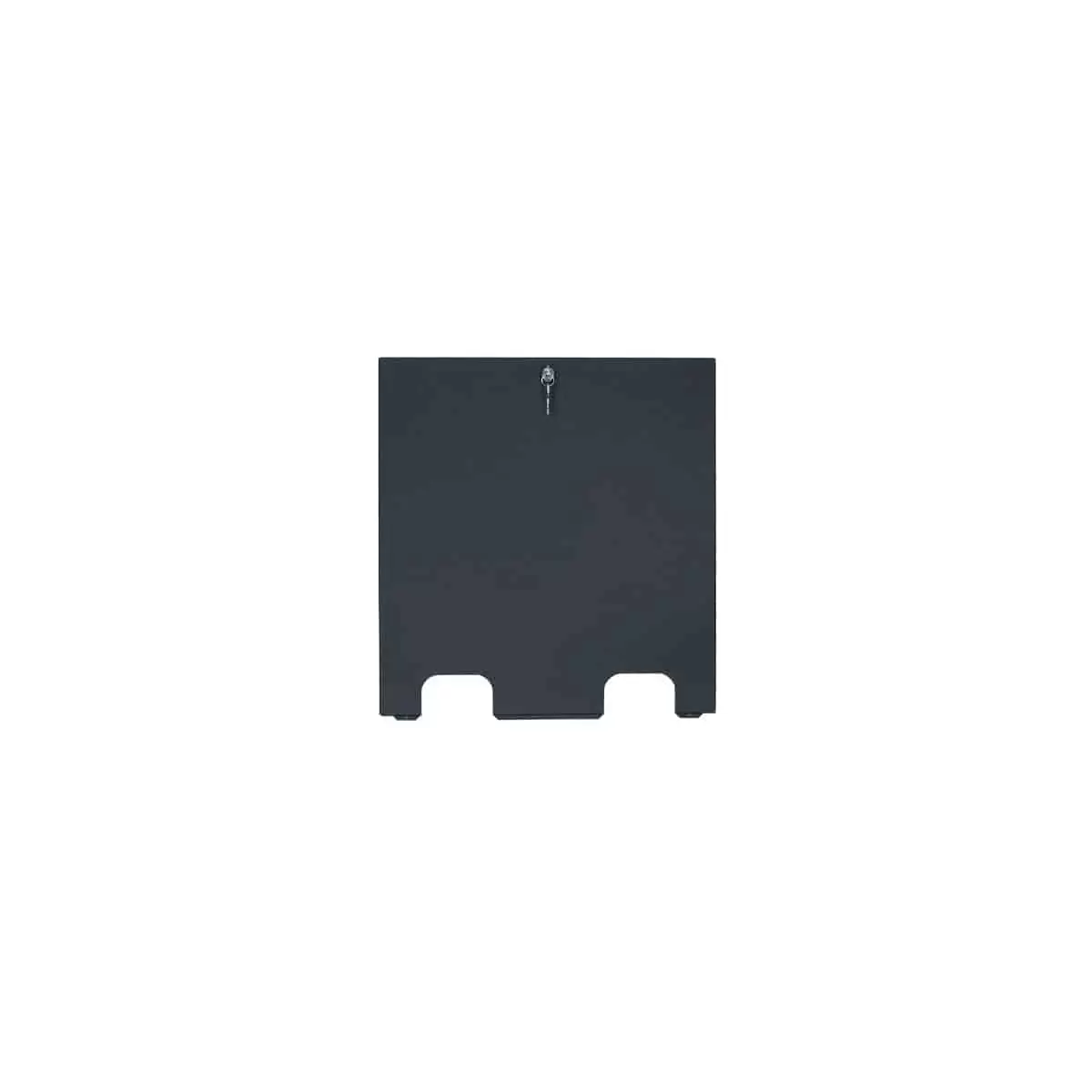 Lowell LDTR Series Steel Rear Access Cover with Ports for LDTR/LDSR Rack - view 2