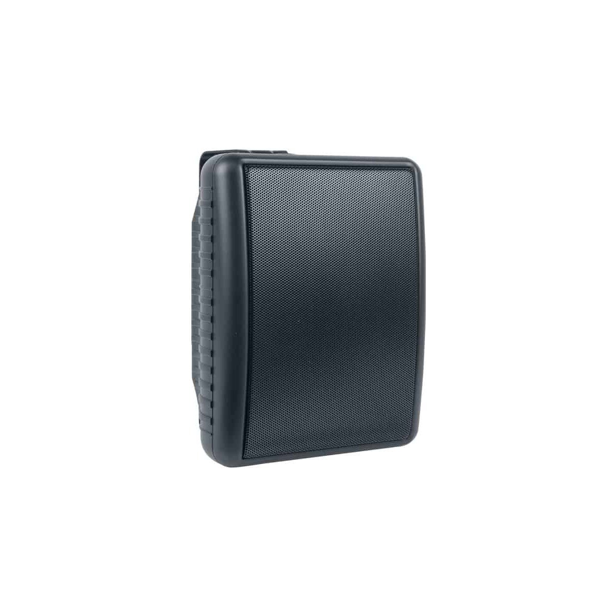 Lowell OS-50 Series 50W Indoor/Outdoor Speaker