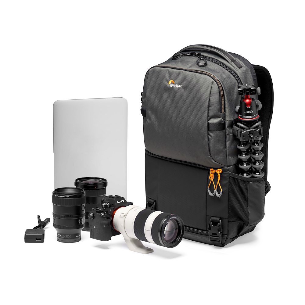 Lowepro Fastpack BP 250 AW III (Grey) - view 3