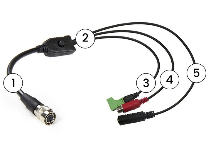 Marshall Electronics CV-BSE Hirose Breakout Cable