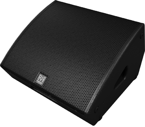 LE100 12" Passive Coaxial Stage Monitor
