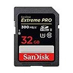 SanDisk 32GB UHSII