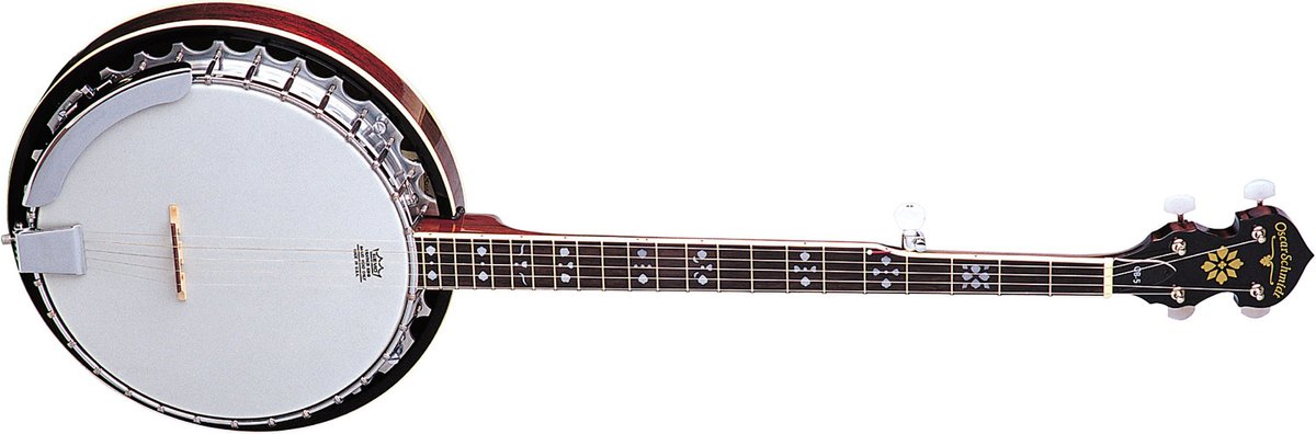 Oscar Schmidt OB5 Bluegrass Banjo