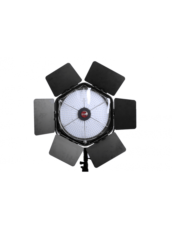 Porta Brace RS-RTANOV Rain Slicker