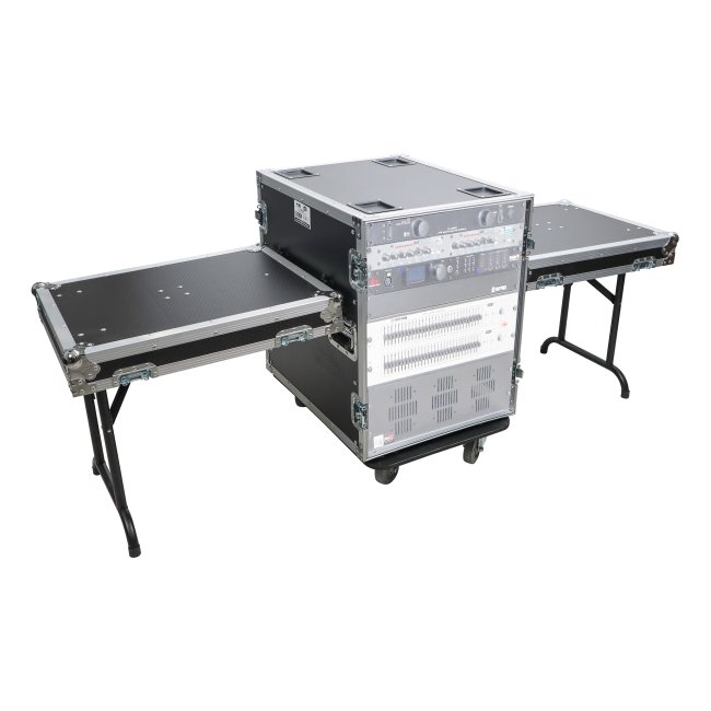 PRO X T-14RSS24 14U Space Amp Rack Mount ATA Flight Case, 24 Inch Depth W-Casters