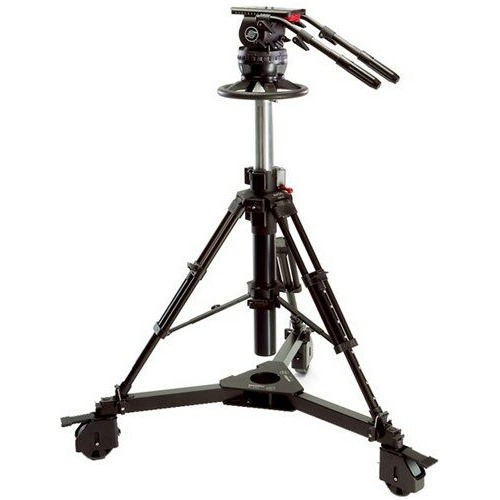 Sachtler System 25 C III