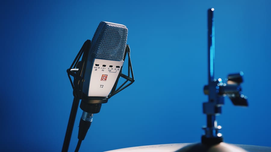 sE Electronics T2 Multi-Pattern Titanium Condenser Microphone