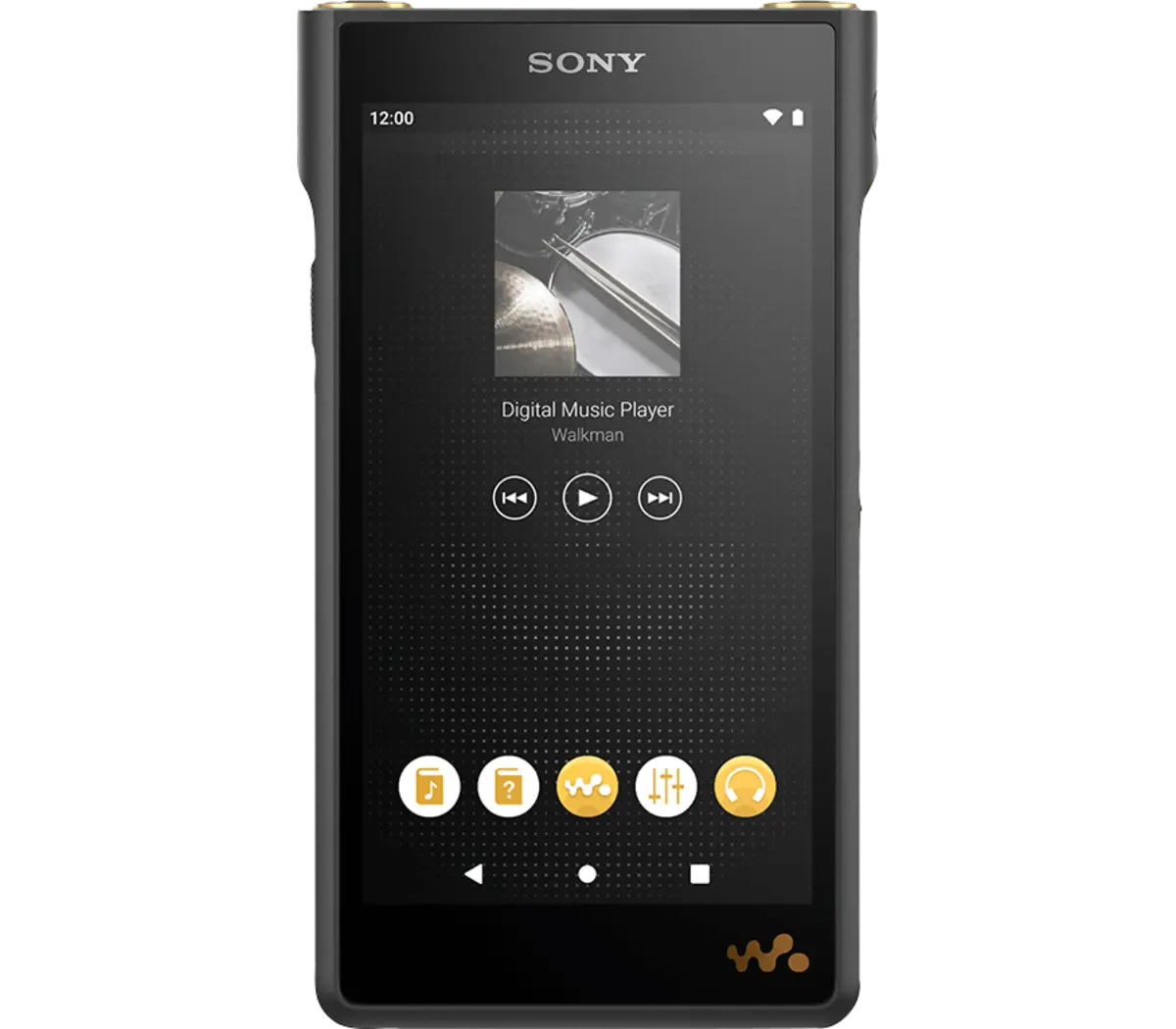 Sony NW-WM1AM2 Walkman Hi-Res Digital Music Player, 128 GB - view 2