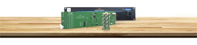 AJA OG-C10DA openGear 1x9 Analog Composite Distribution Amplifier