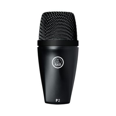 AKG P2 Dynamic Bass Instrument Microphone