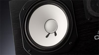 Avantone Pro AV10 MLF Replacement Woofer Low-Frequency Driver (woofer)