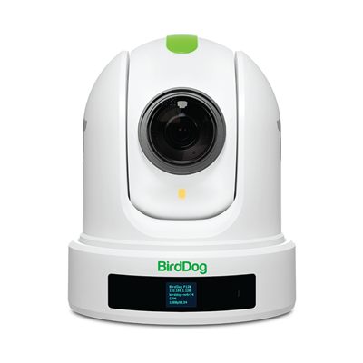 BirdDog P120 20x Full NDI PTZ Camera (White)