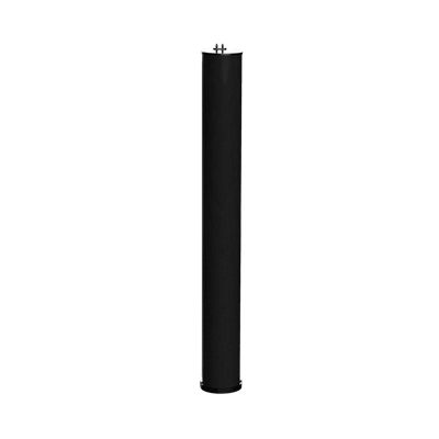 Biamp Desono ENT-FR Column Loudspeaker