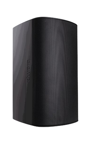 Biamp Desono EX-S10SUB-CM Subwoofer