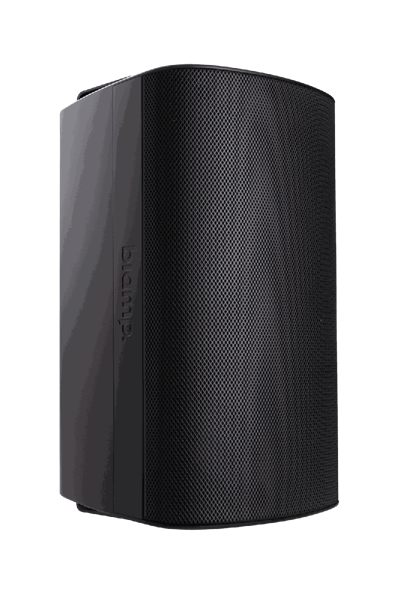Biamp Desono EX-S10SUB-UB Subwoofer