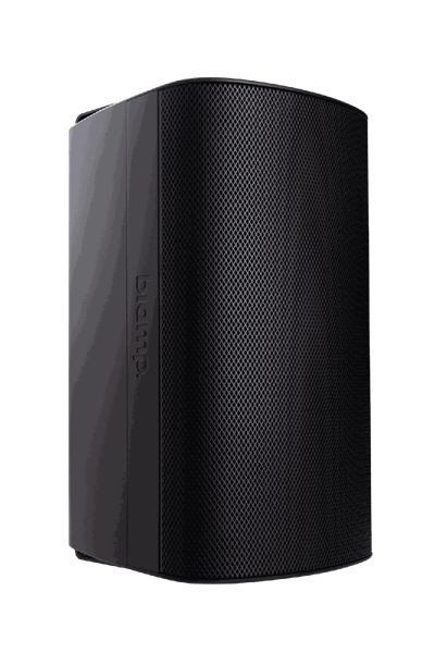 Biamp Desono EX-S8-UB Surface-Mount Loudspeaker
