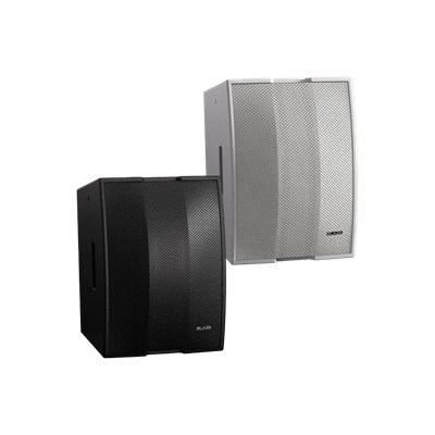 Blaze Audio CBL528 Passive Bi-Amped Constant Beamwidth Loudspeaker