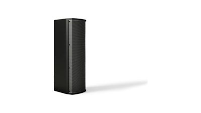 Bose Professional Bose ArenaMatch AMU206 Compact High-performance Loudspeaker