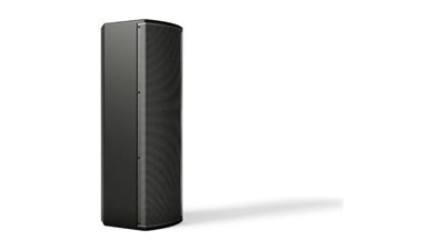 Bose Professional Bose ArenaMatch AMU208-120 Compact High-performance Loudspeaker