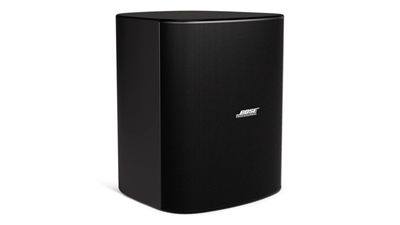 Bose Professional Bose DesignMax DM12SE 12-Inch Coaxial Surface-Mount Loudspeaker