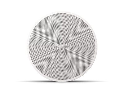 Bose Professional Bose DesignMax DM2C-LP Loudspeakers (Pair)