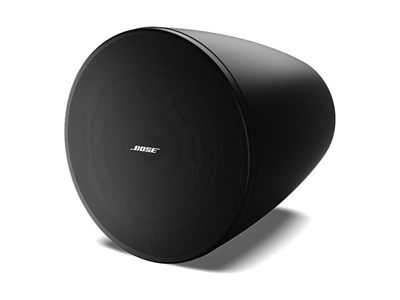 Bose Professional Bose DesignMax DM6PE Loudspeakers (Pair)