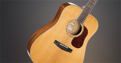 Cort Gold-D6 Acoustic Guitar