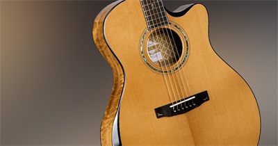 Cort Gold-Edge Acoustic Guitar