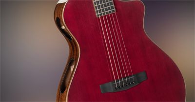 Cort Guitars Cort Modern Burgundy Acoustic Guitar