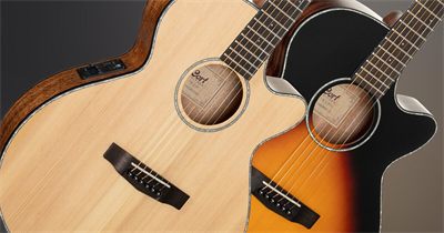 Cort Guitars Cort SFX-E Acoustic Guitar