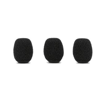 Rode WS-LAV Windshield